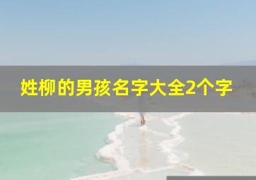 姓柳的男孩名字大全2个字