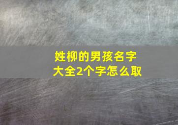 姓柳的男孩名字大全2个字怎么取