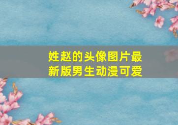 姓赵的头像图片最新版男生动漫可爱