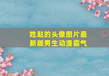 姓赵的头像图片最新版男生动漫霸气