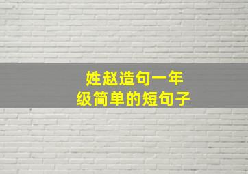 姓赵造句一年级简单的短句子