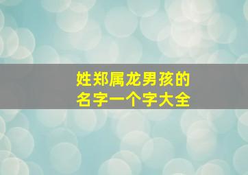 姓郑属龙男孩的名字一个字大全