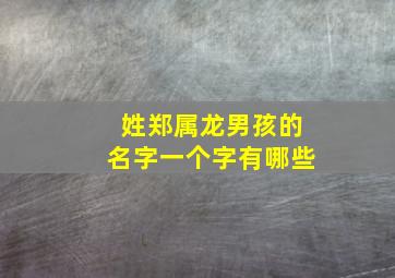 姓郑属龙男孩的名字一个字有哪些