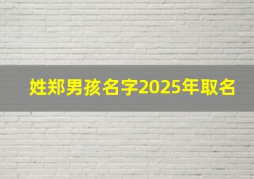 姓郑男孩名字2025年取名