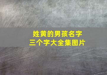 姓黄的男孩名字三个字大全集图片