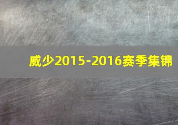 威少2015-2016赛季集锦