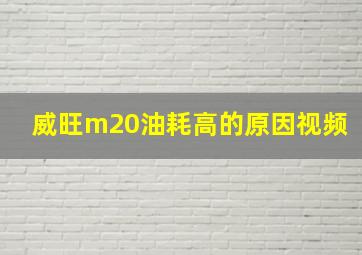 威旺m20油耗高的原因视频