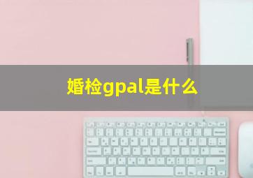 婚检gpal是什么