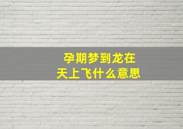 孕期梦到龙在天上飞什么意思