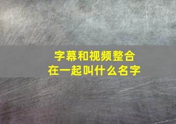 字幕和视频整合在一起叫什么名字