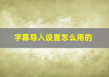 字幕导入设置怎么用的