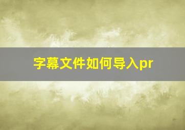 字幕文件如何导入pr