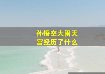 孙悟空大闹天宫经历了什么