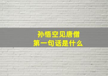 孙悟空见唐僧第一句话是什么