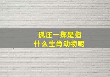 孤注一掷是指什么生肖动物呢