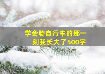 学会骑自行车的那一刻我长大了500字