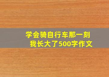 学会骑自行车那一刻我长大了500字作文