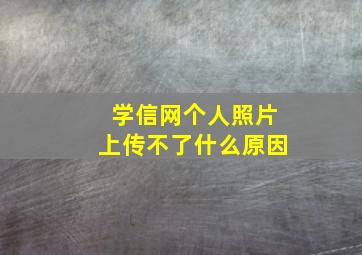 学信网个人照片上传不了什么原因