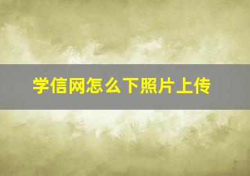 学信网怎么下照片上传