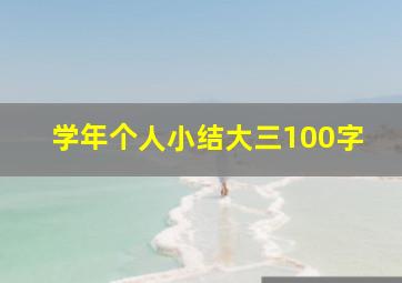 学年个人小结大三100字