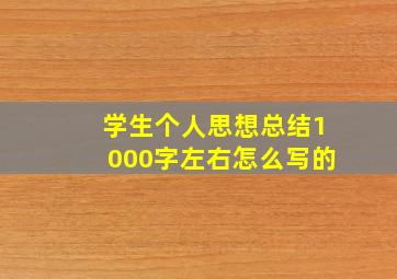 学生个人思想总结1000字左右怎么写的