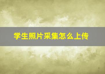 学生照片采集怎么上传