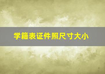 学籍表证件照尺寸大小