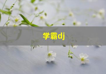 学霸dj