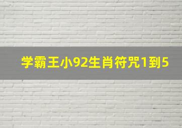 学霸王小92生肖符咒1到5