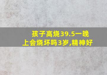 孩子高烧39.5一晚上会烧坏吗3岁,精神好