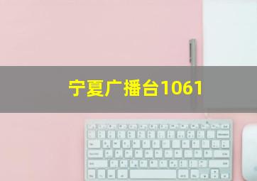 宁夏广播台1061