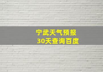 宁武天气预报30天查询百度