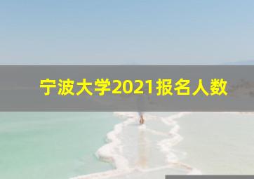 宁波大学2021报名人数