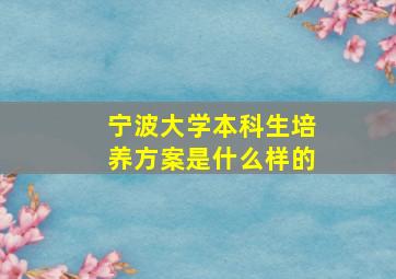 宁波大学本科生培养方案是什么样的