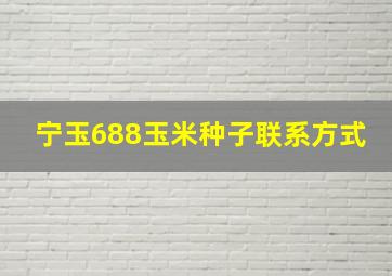 宁玉688玉米种子联系方式