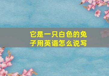 它是一只白色的兔子用英语怎么说写