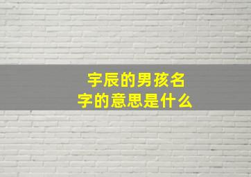 宇辰的男孩名字的意思是什么