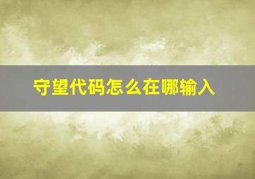 守望代码怎么在哪输入