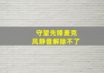 守望先锋麦克风静音解除不了