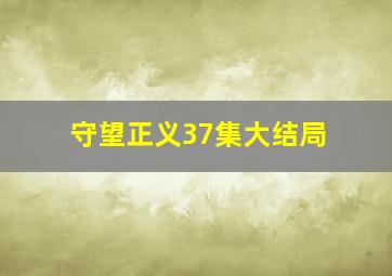 守望正义37集大结局