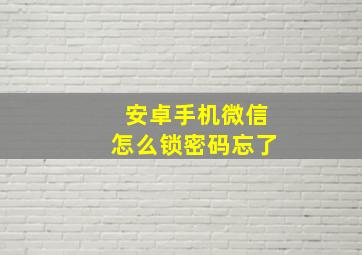 安卓手机微信怎么锁密码忘了