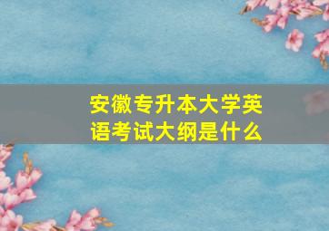 安徽专升本大学英语考试大纲是什么