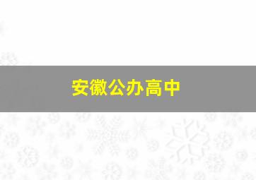 安徽公办高中