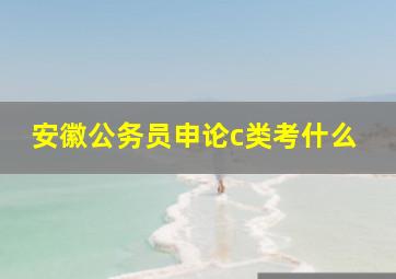 安徽公务员申论c类考什么