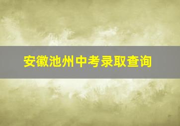 安徽池州中考录取查询