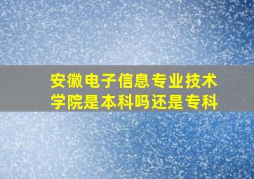 安徽电子信息专业技术学院是本科吗还是专科