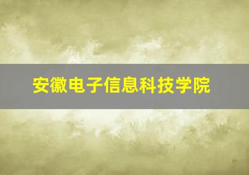 安徽电子信息科技学院