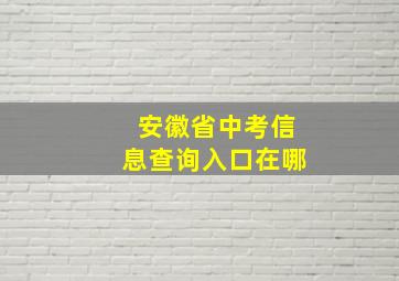 安徽省中考信息查询入口在哪