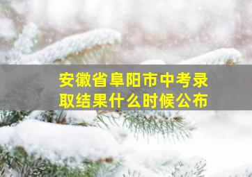 安徽省阜阳市中考录取结果什么时候公布