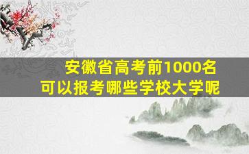 安徽省高考前1000名可以报考哪些学校大学呢